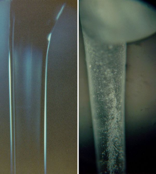 Terrestrial vs microgravity produced ZBLAN fiber